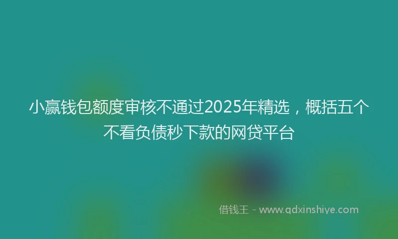 小赢钱包额度审核不通过2025年精选，概括五个不看负债秒下款的网贷平台