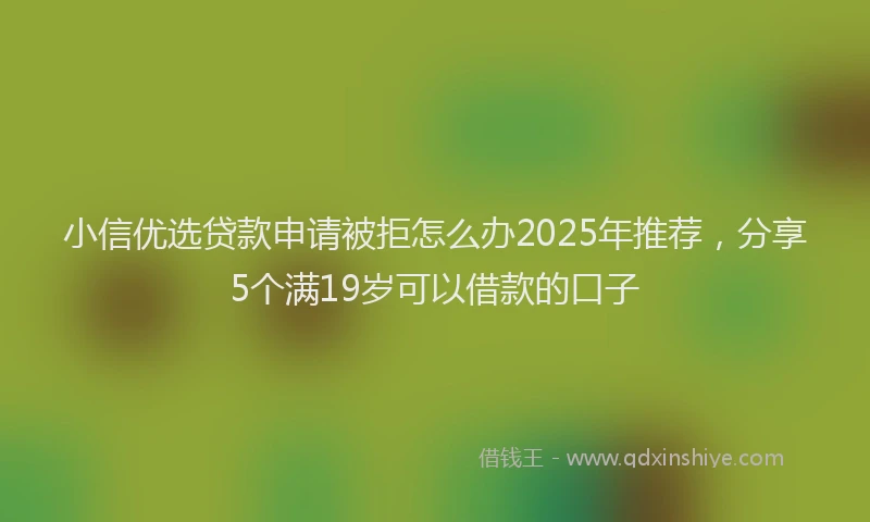 小信优选贷款申请被拒怎么办2025年推荐，分享5个满19岁可以借款的口子