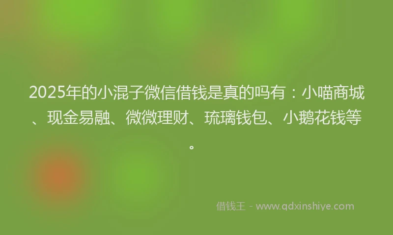 2025年的小混子微信借钱是真的吗有：小喵商城、现金易融、微微理财、琉璃钱包、小鹅花钱等。