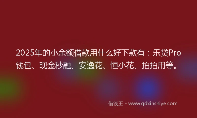 2025年的小余额借款用什么好下款有：乐贷Pro钱包、现金秒融、安逸花、恒小花、拍拍用等。