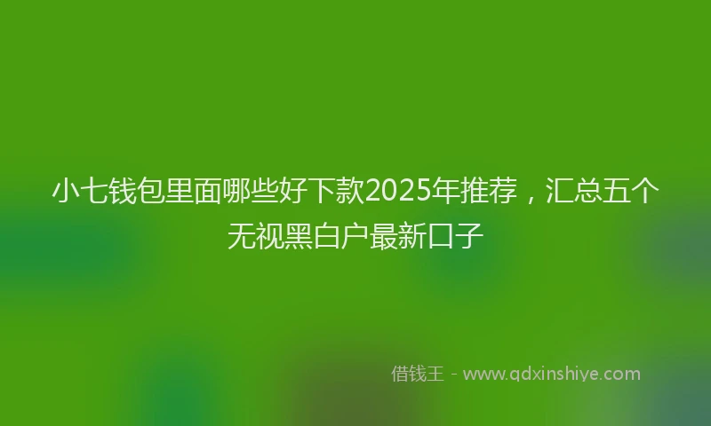 小七钱包里面哪些好下款2025年推荐，汇总五个无视黑白户最新口子