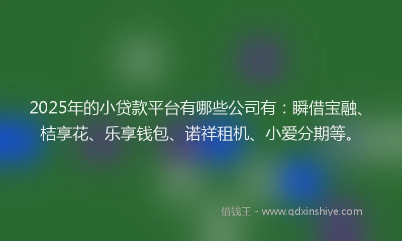 2025年的小贷款平台有哪些公司有：瞬借宝融、桔享花、乐享钱包、诺祥租机、小爱分期等。