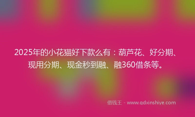 2025年的小花猫好下款么有：葫芦花、好分期、现用分期、现金秒到融、融360借条等。