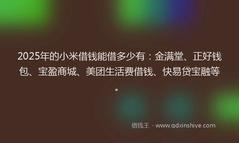 2025年的小米借钱能借多少有：金满堂、正好钱包、宝盈商城、美团生活费借钱、快易贷宝融等。