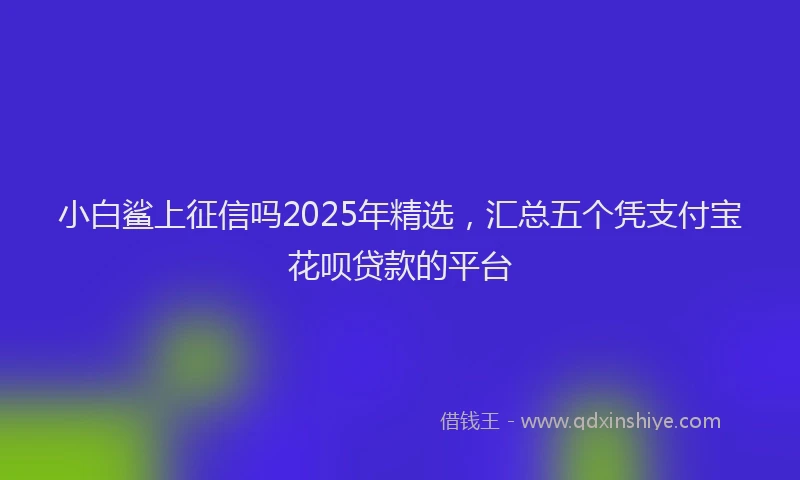 小白鲨上征信吗2025年精选，汇总五个凭支付宝花呗贷款的平台