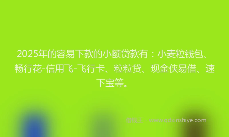 2025年的容易下款的小额贷款有：小麦粒钱包、畅行花-信用飞-飞行卡、粒粒贷、现金侠易借、速下宝等。