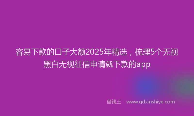容易下款的口子大额2025年精选，梳理5个无视黑白无视征信申请就下款的app
