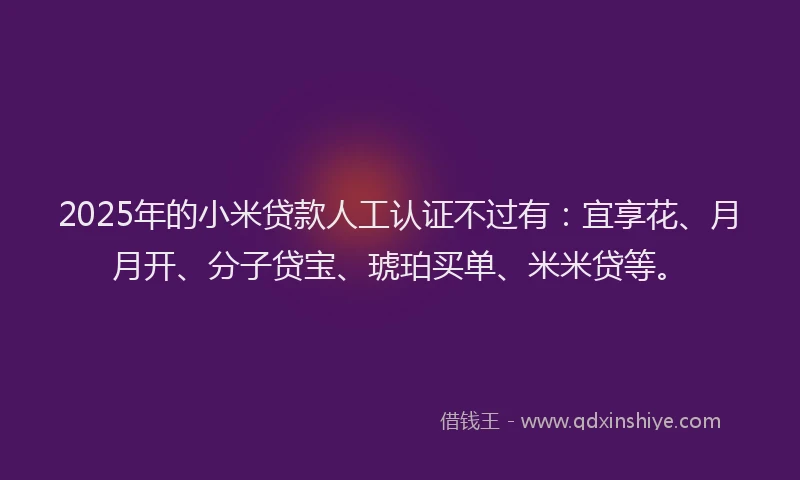 2025年的小米贷款人工认证不过有：宜享花、月月开、分子贷宝、琥珀买单、米米贷等。