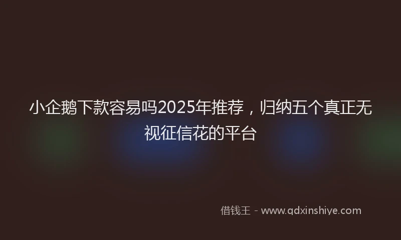 小企鹅下款容易吗2025年推荐，归纳五个真正无视征信花的平台