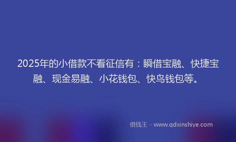 2025年的小借款不看征信有：瞬借宝融、快捷宝融、现金易融、小花钱包、快鸟钱包等。
