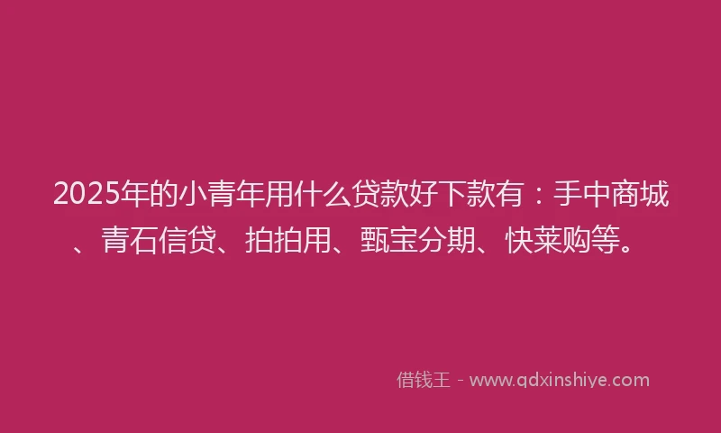 2025年的小青年用什么贷款好下款有：手中商城、青石信贷、拍拍用、甄宝分期、快莱购等。
