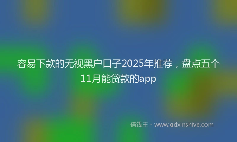 容易下款的无视黑户口子2025年推荐，盘点五个11月能贷款的app