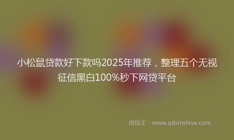 小松鼠贷款好下款吗2025年推荐，整理五个无视征信黑白100%秒下网贷平台