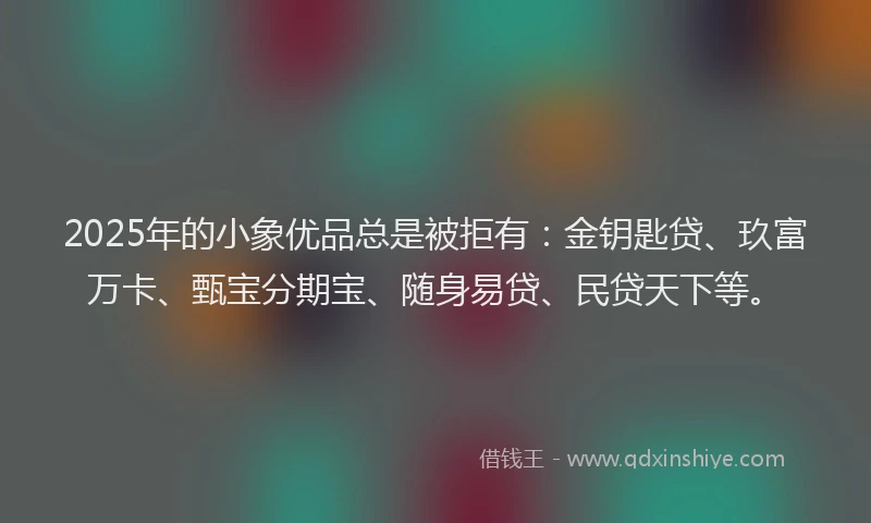 2025年的小象优品总是被拒有：金钥匙贷、玖富万卡、甄宝分期宝、随身易贷、民贷天下等。