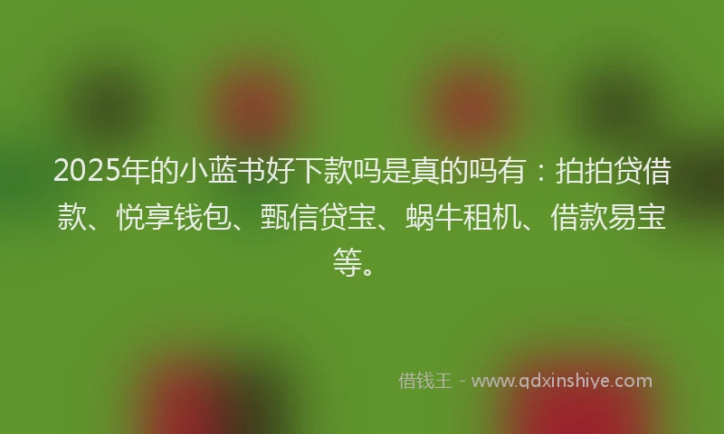 2025年的小蓝书好下款吗是真的吗有：拍拍贷借款、悦享钱包、甄信贷宝、蜗牛租机、借款易宝等。