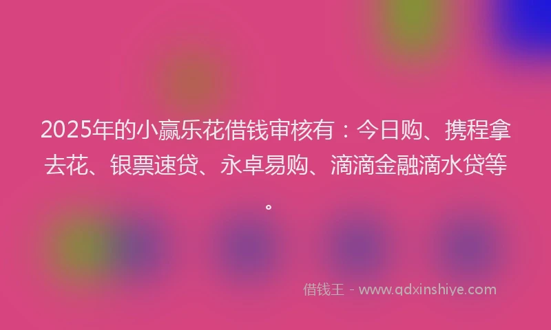 2025年的小赢乐花借钱审核有：今日购、携程拿去花、银票速贷、永卓易购、滴滴金融滴水贷等。