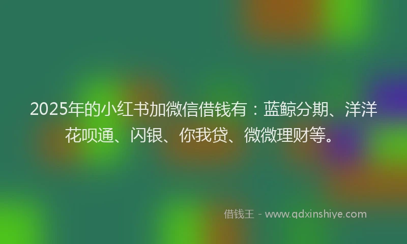 2025年的小红书加微信借钱有：蓝鲸分期、洋洋花呗通、闪银、你我贷、微微理财等。