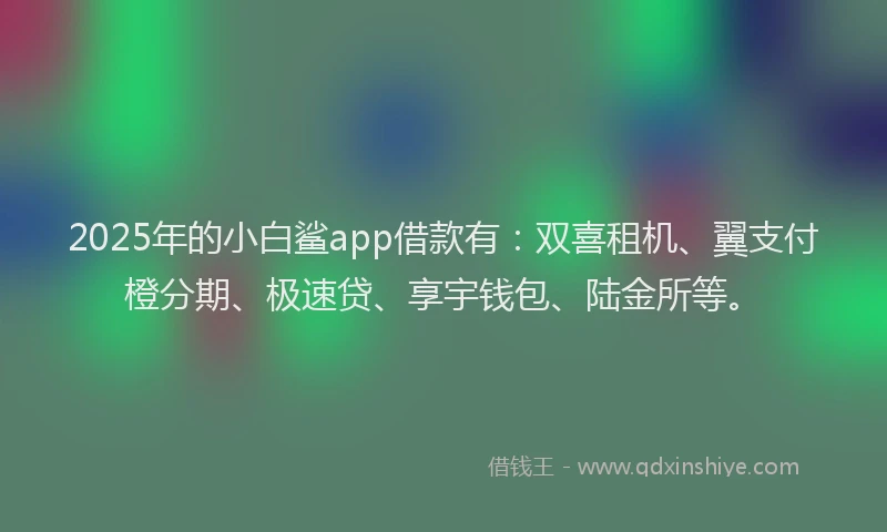 2025年的小白鲨app借款有：双喜租机、翼支付橙分期、极速贷、享宇钱包、陆金所等。