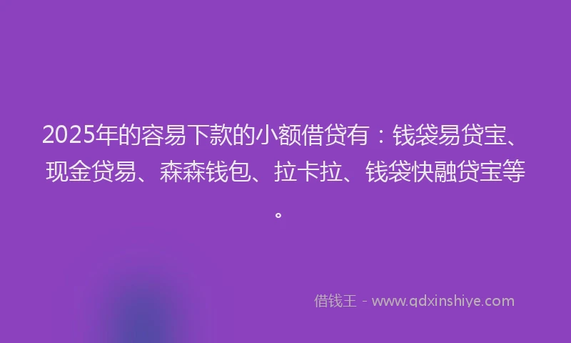 2025年的容易下款的小额借贷有：钱袋易贷宝、现金贷易、森森钱包、拉卡拉、钱袋快融贷宝等。