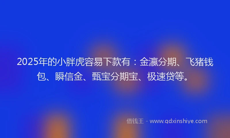 2025年的小胖虎容易下款有：金瀛分期、飞猪钱包、瞬信金、甄宝分期宝、极速贷等。