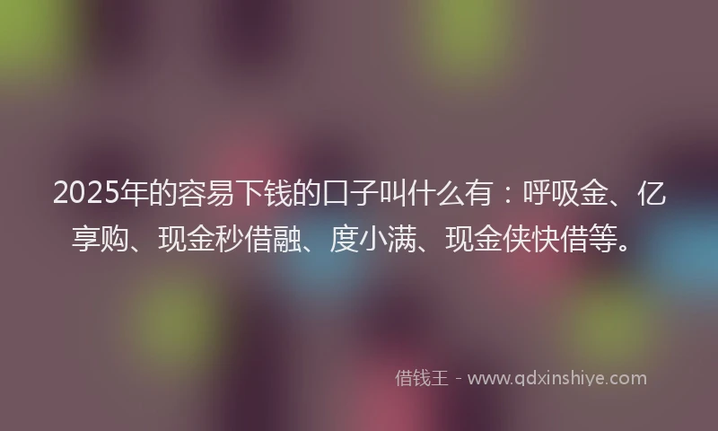 2025年的容易下钱的口子叫什么有：呼吸金、亿享购、现金秒借融、度小满、现金侠快借等。