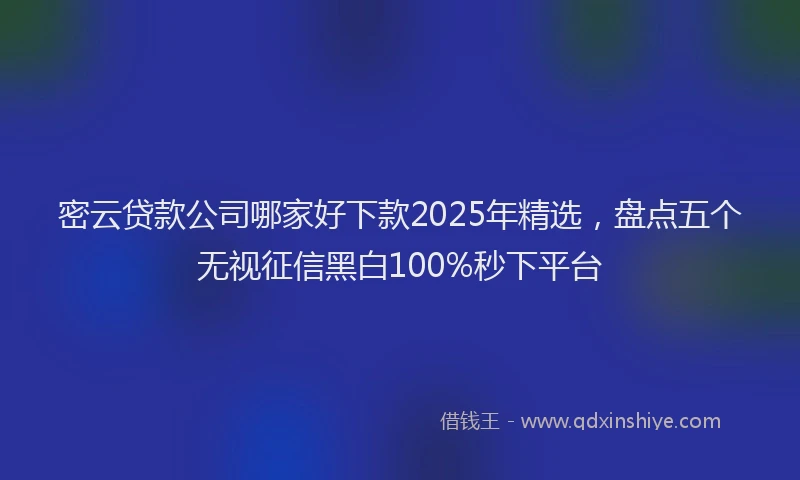 密云贷款公司哪家好下款2025年精选，盘点五个无视征信黑白100%秒下平台