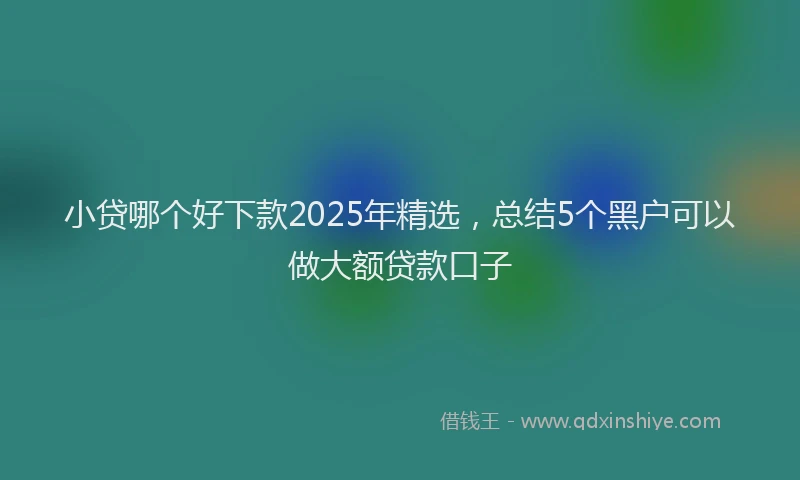 小贷哪个好下款2025年精选，总结5个黑户可以做大额贷款口子