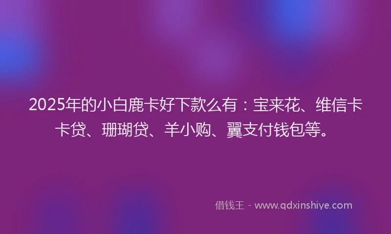 2025年的小白鹿卡好下款么有：宝来花、维信卡卡贷、珊瑚贷、羊小购、翼支付钱包等。