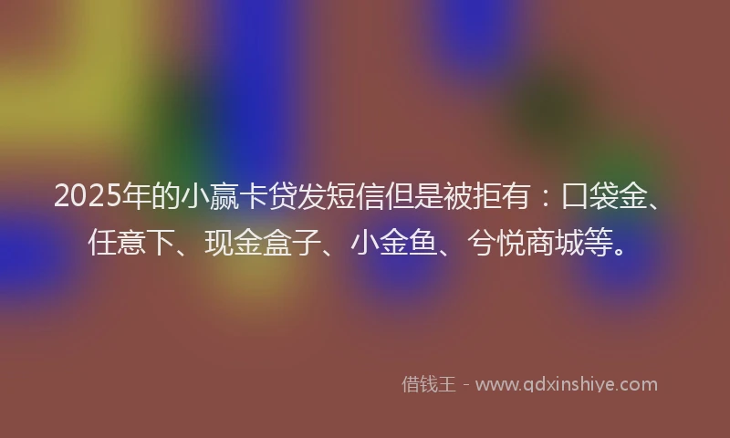 2025年的小赢卡贷发短信但是被拒有：口袋金、任意下、现金盒子、小金鱼、兮悦商城等。