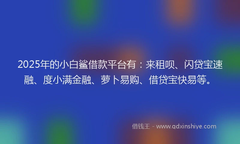 2025年的小白鲨借款平台有：来租呗、闪贷宝速融、度小满金融、萝卜易购、借贷宝快易等。