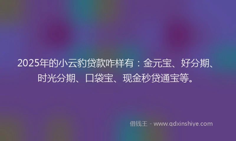 2025年的小云豹贷款咋样有：金元宝、好分期、时光分期、口袋宝、现金秒贷通宝等。