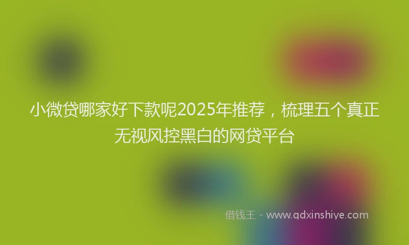 小微贷哪家好下款呢2025年推荐，梳理五个真正无视风控黑白的网贷平台