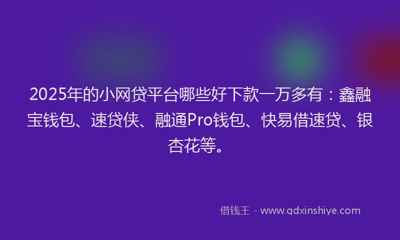 2025年的小网贷平台哪些好下款一万多有：鑫融宝钱包、速贷侠、融通Pro钱包、快易借速贷、银杏花等。