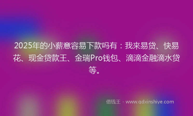 2025年的小薪意容易下款吗有：我来易贷、快易花、现金贷款王、金瑞Pro钱包、滴滴金融滴水贷等。