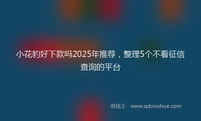 小花豹好下款吗2025年推荐，整理5个不看征信查询的平台