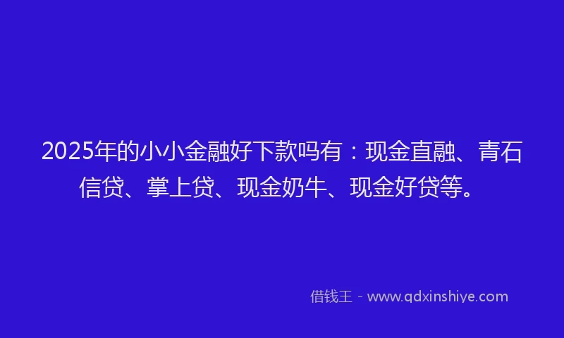2025年的小小金融好下款吗有：现金直融、青石信贷、掌上贷、现金奶牛、现金好贷等。