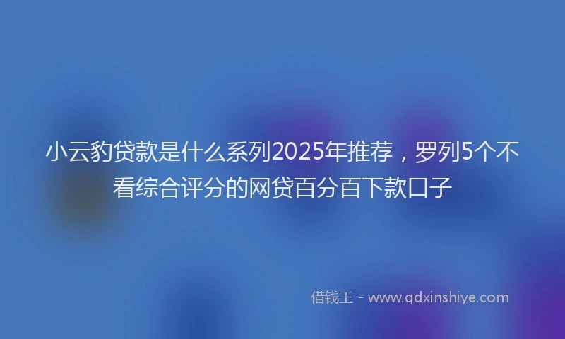 小云豹贷款是什么系列2025年推荐，罗列5个不看综合评分的网贷百分百下款口子