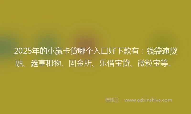 2025年的小赢卡贷哪个入口好下款有：钱袋速贷融、鑫享租物、固金所、乐借宝贷、微粒宝等。
