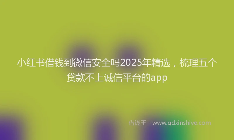 小红书借钱到微信安全吗2025年精选，梳理五个贷款不上诚信平台的app