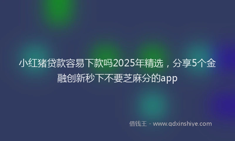 小红猪贷款容易下款吗2025年精选，分享5个金融创新秒下不要芝麻分的app
