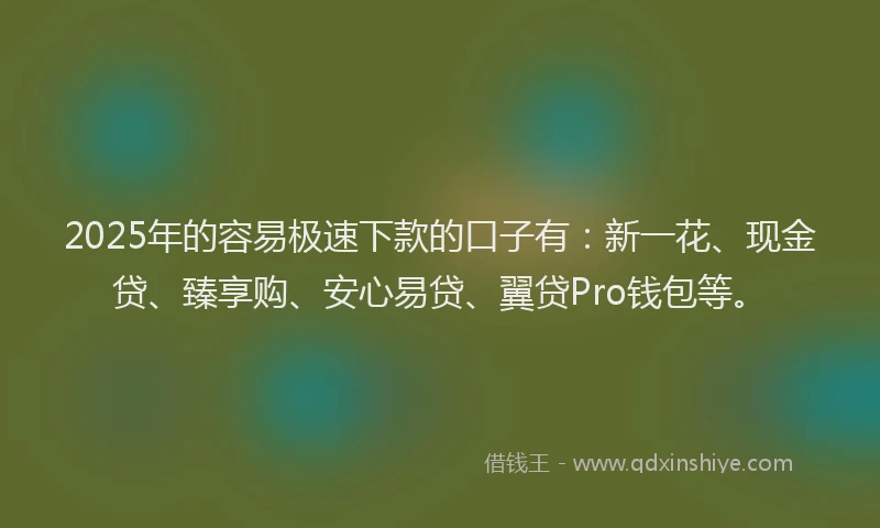 2025年的容易极速下款的口子有：新一花、现金贷、臻享购、安心易贷、翼贷Pro钱包等。