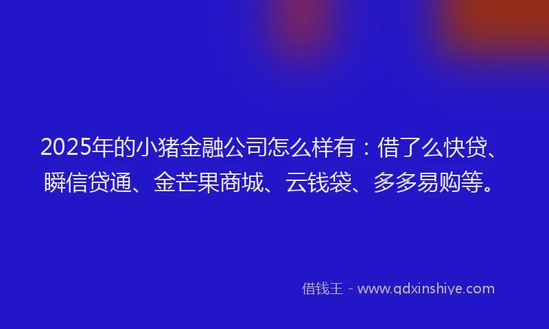 2025年的小猪金融公司怎么样有：借了么快贷、瞬信贷通、金芒果商城、云钱袋、多多易购等。