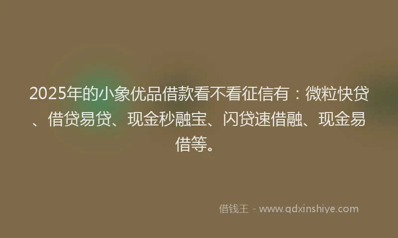 2025年的小象优品借款看不看征信有：微粒快贷、借贷易贷、现金秒融宝、闪贷速借融、现金易借等。