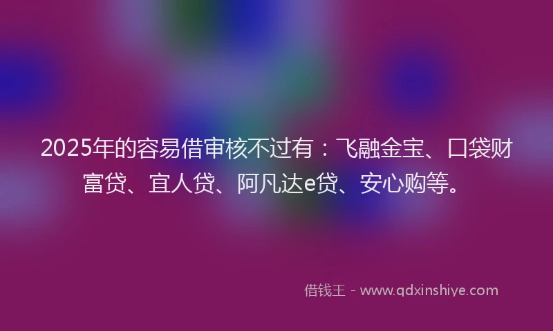2025年的容易借审核不过有：飞融金宝、口袋财富贷、宜人贷、阿凡达e贷、安心购等。