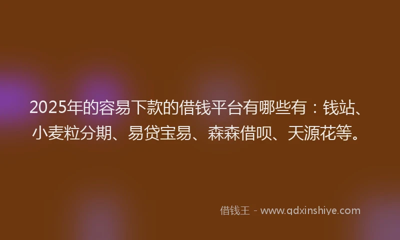 2025年的容易下款的借钱平台有哪些有：钱站、小麦粒分期、易贷宝易、森森借呗、天源花等。