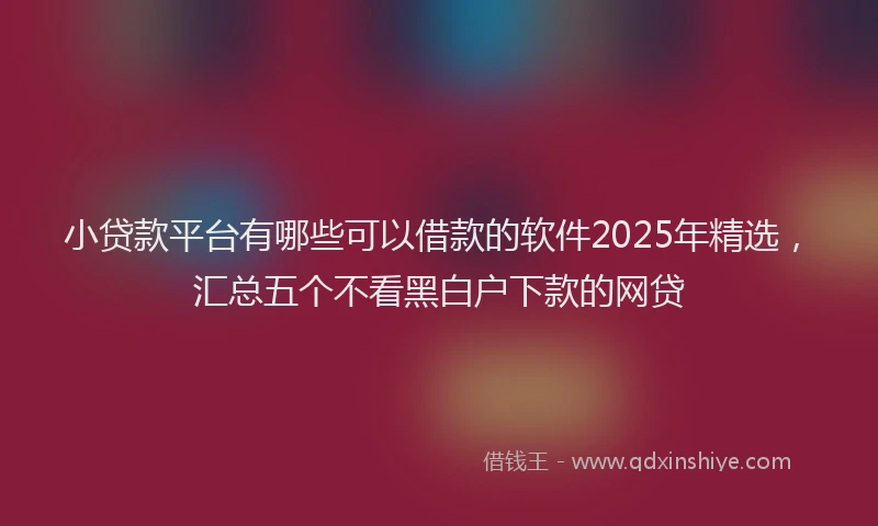 小贷款平台有哪些可以借款的软件2025年精选，汇总五个不看黑白户下款的网贷