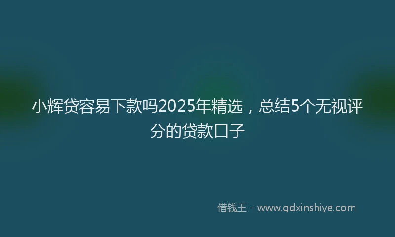 小辉贷容易下款吗2025年精选，总结5个无视评分的贷款口子