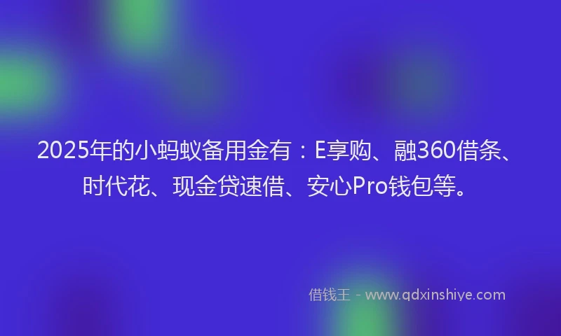 2025年的小蚂蚁备用金有：E享购、融360借条、时代花、现金贷速借、安心Pro钱包等。