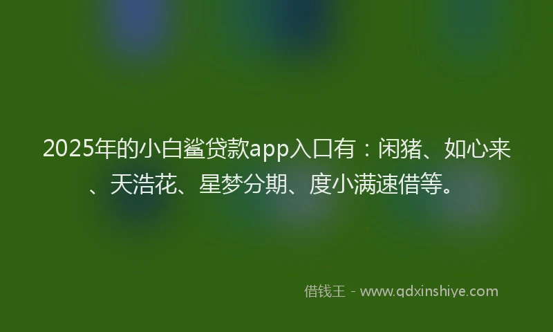 2025年的小白鲨贷款app入口有：闲猪、如心来、天浩花、星梦分期、度小满速借等。