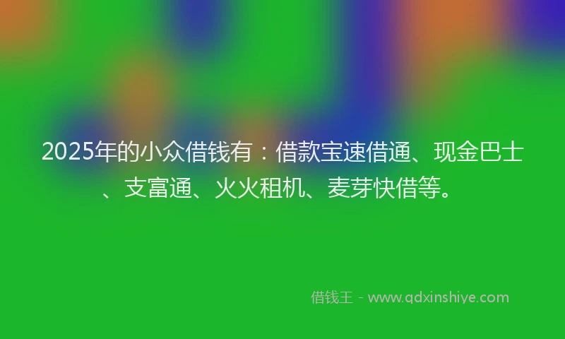 2025年的小众借钱有：借款宝速借通、现金巴士、支富通、火火租机、麦芽快借等。